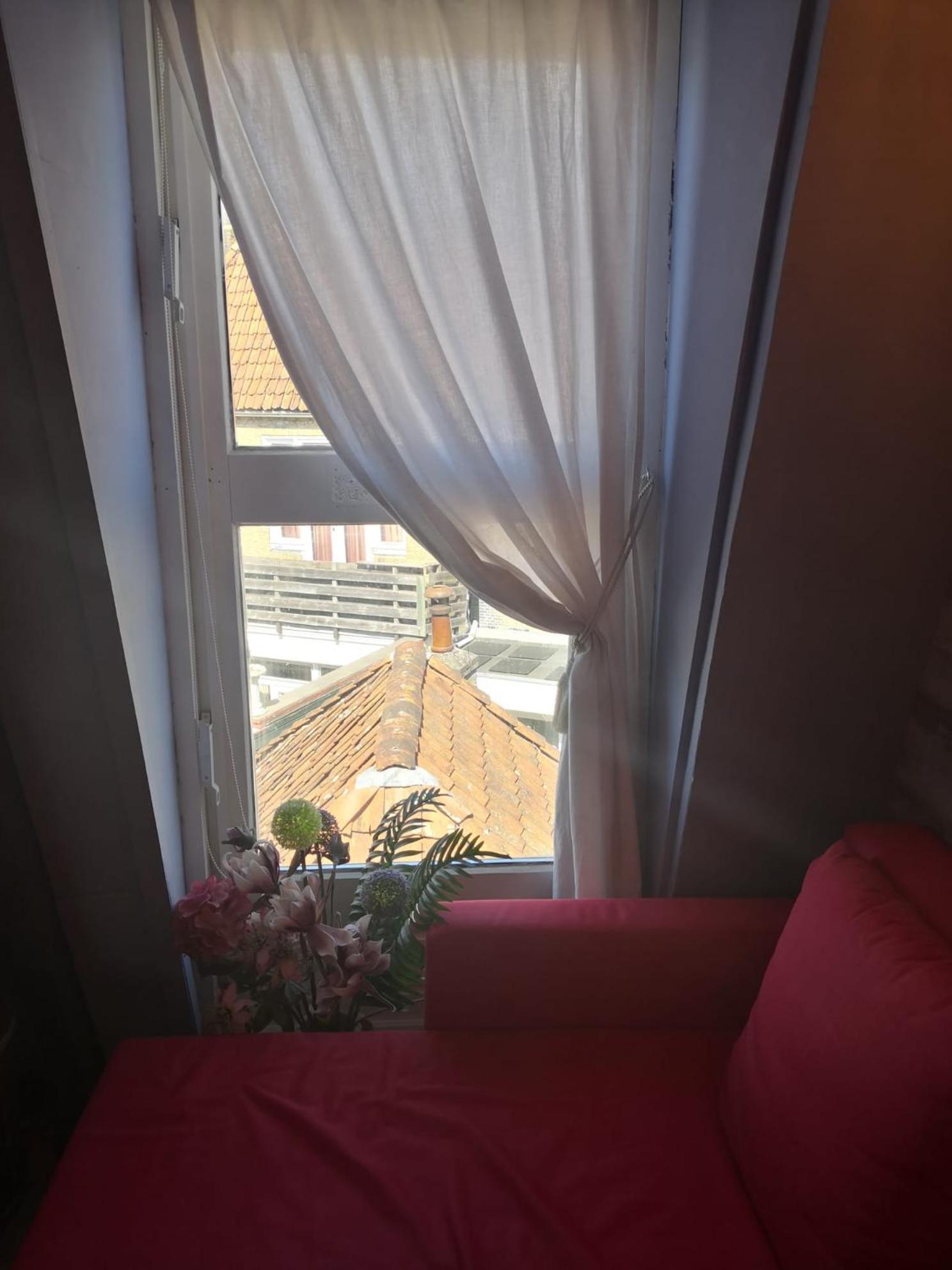 할린전 Wittezwaan B&B 외부 사진